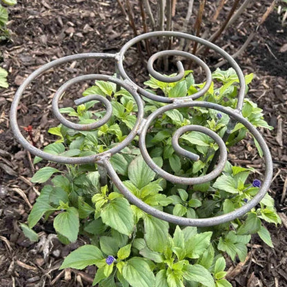 🌱 Plant Support