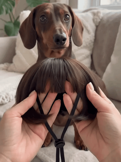 Personalized Fun Pet Wigs for Halloween & Dog Cosplay