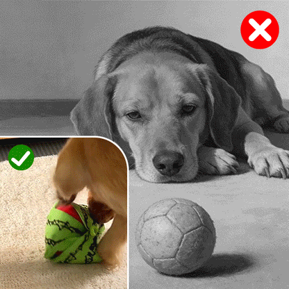 Seek Plush Dog Toys