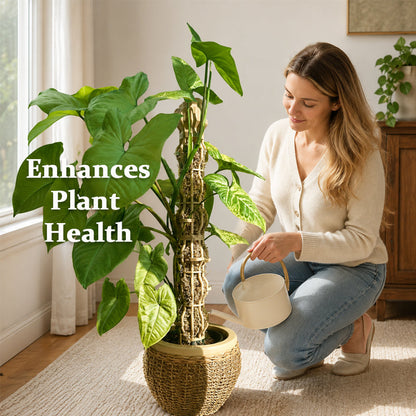 🌿Give Your Climbing Plants the Support They Deserve  | Plant Moss Pole for Monstera & Pothos🌿