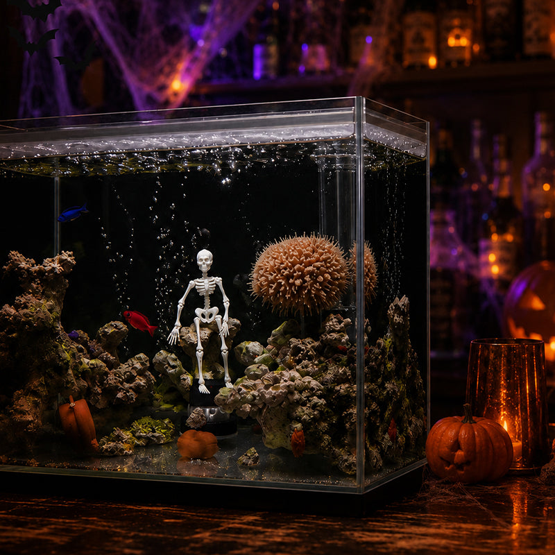 Halloween aquarium