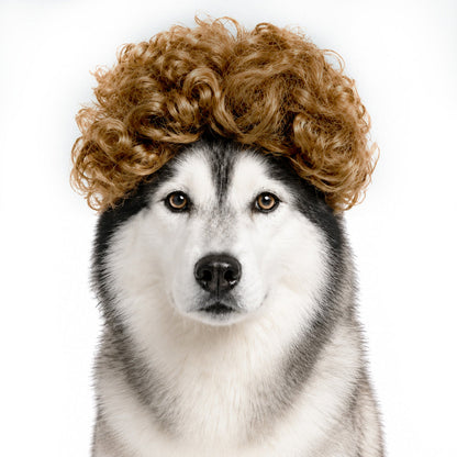 Personalized Fun Pet Wigs for Halloween & Dog Cosplay