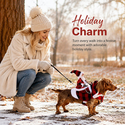 🎄 Santa Rider Pet Christmas Costume