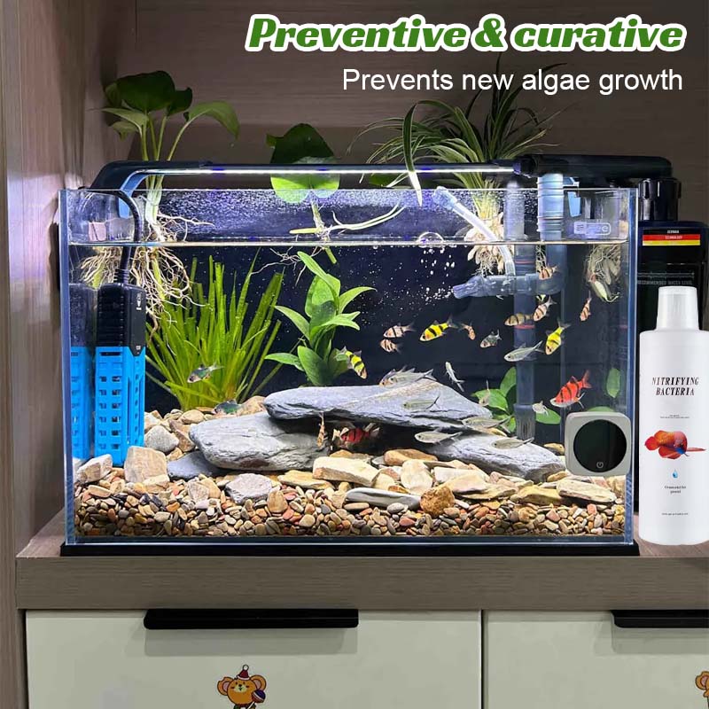 🐠 Mossborttagare För Fiskakvarier