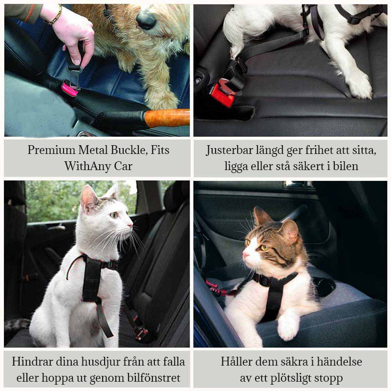 Bilsäkerhetsbälte För Husdjur