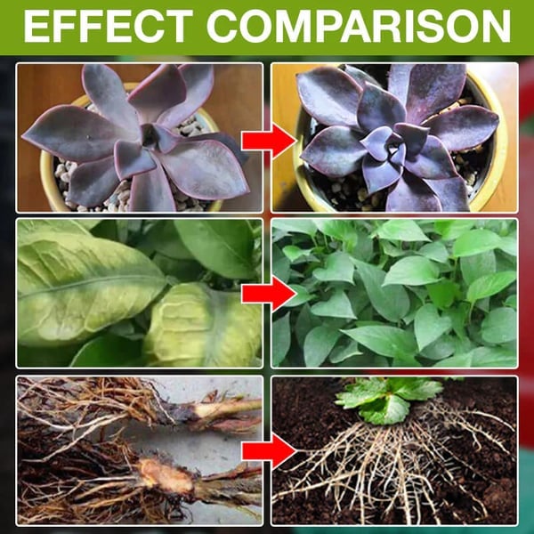 🥬🌻 BUY 1 GET 1 FREE! Organic Plant Nutrient – Essential minerals & amino acids. Healthier plants, happier balcony garden. 🏡💚