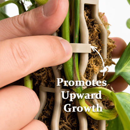 🌿Give Your Climbing Plants the Support They Deserve  | Plant Moss Pole for Monstera & Pothos🌿