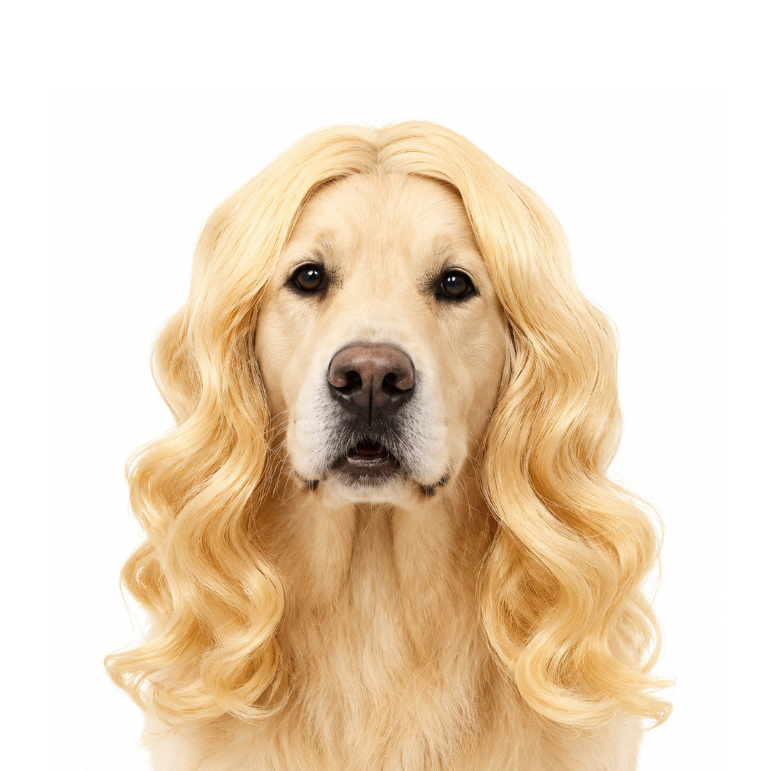 Personalized Fun Pet Wigs for Halloween & Dog Cosplay