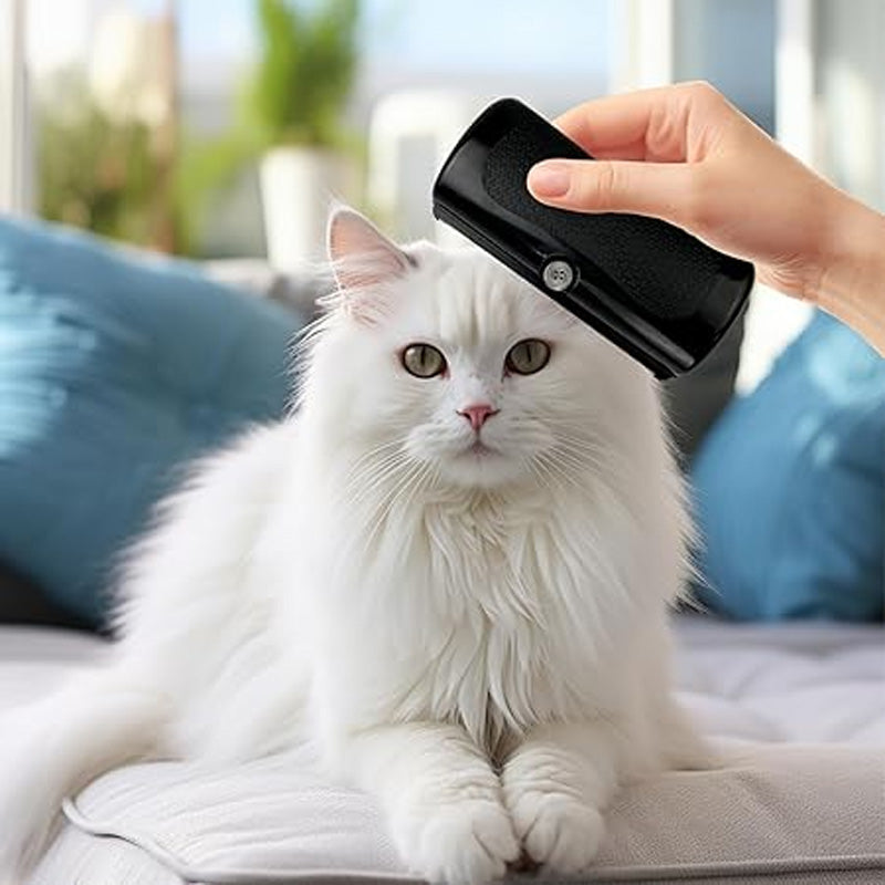 Tandad Pälsskrapa 🐴🐶