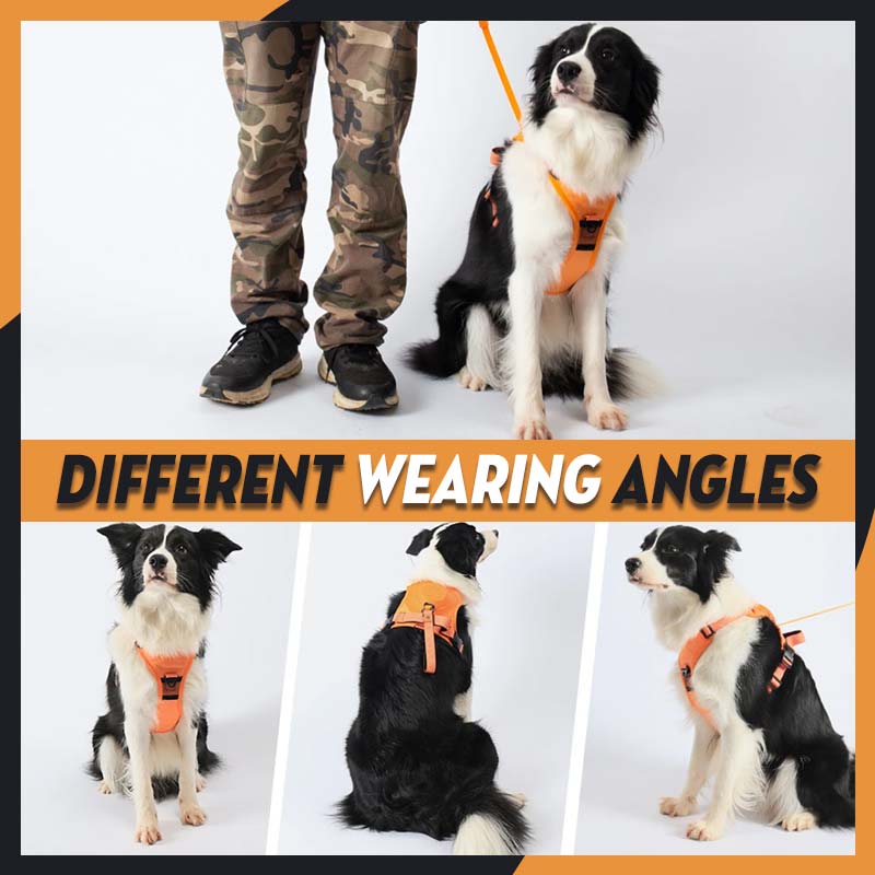 Husdjur explosionssäker väst bröst och rygg koppel