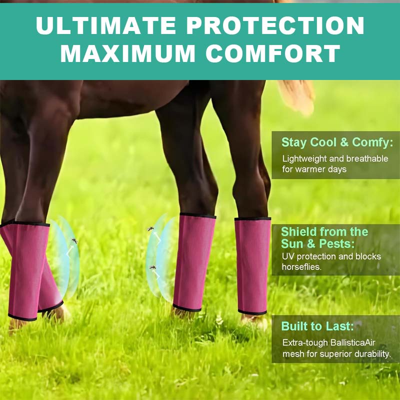 Andningsbara mesh-leggings som skyddar mot hästflugor 🐎✨
