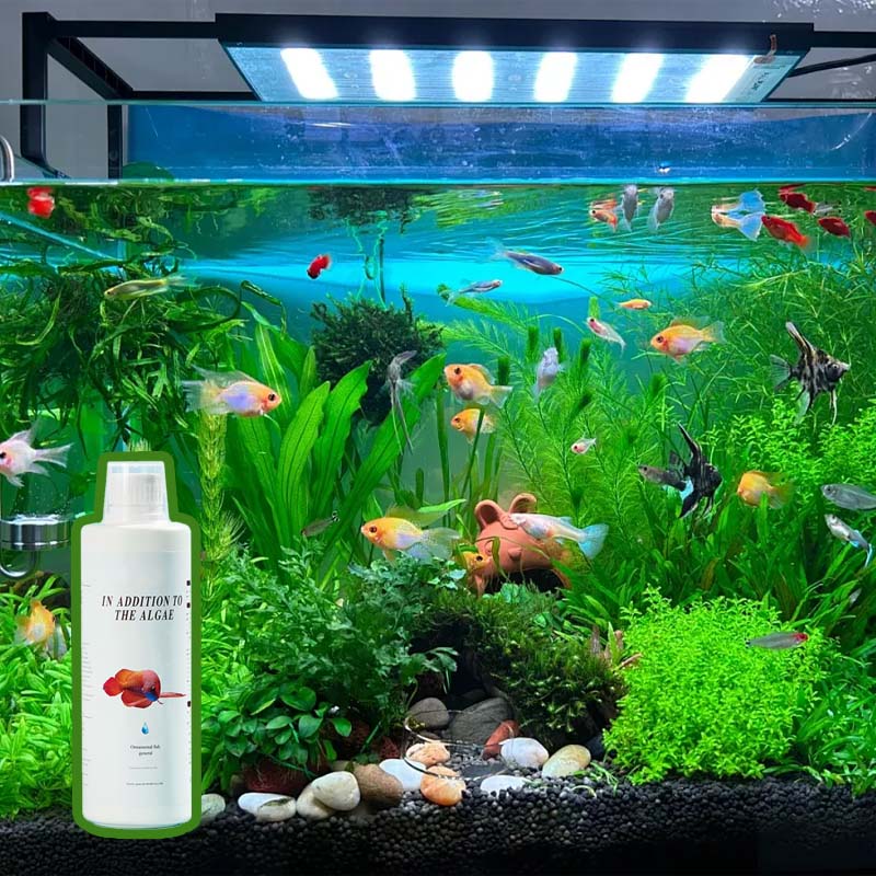 🐠 Mossborttagare För Fiskakvarier