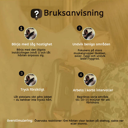 8 huvuden hästmassagepistol