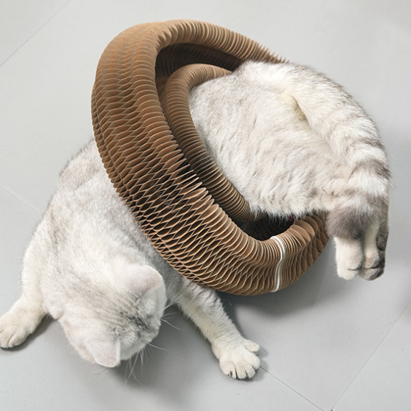 Kattklösbräda Med Bjällra