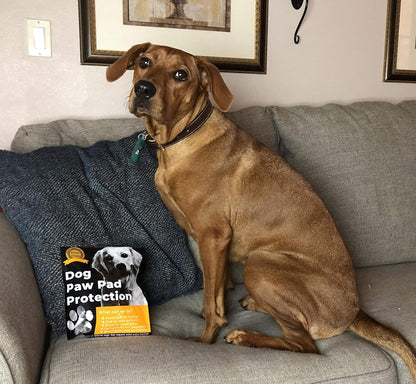 🐾Hundtassskydd🐾