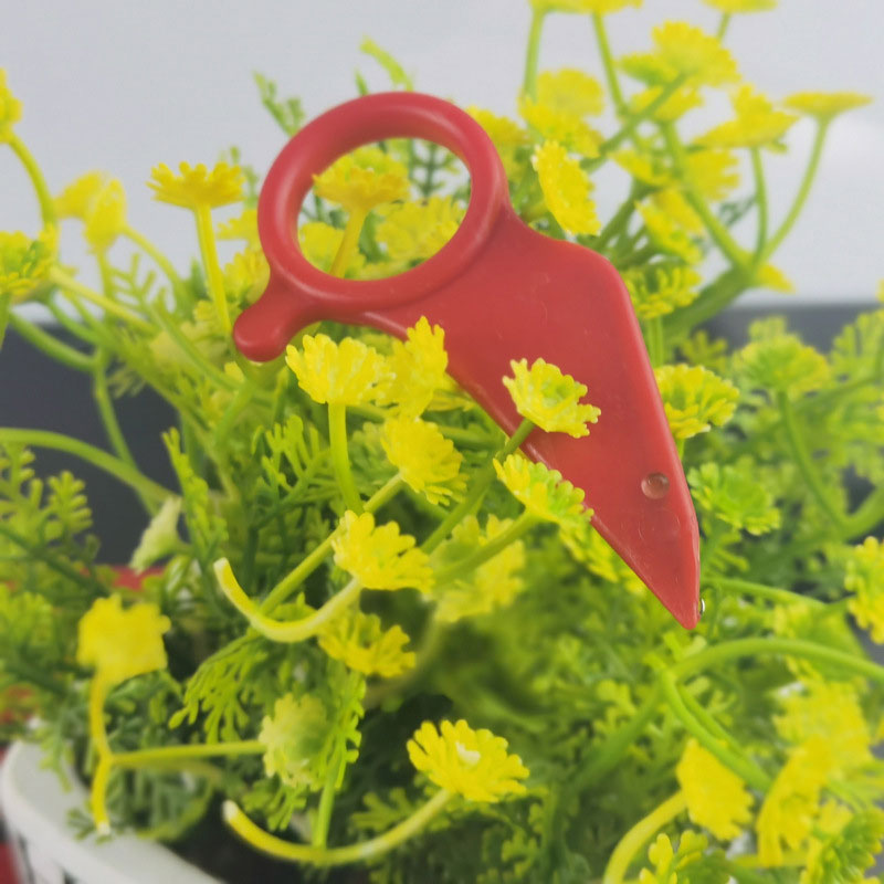 🔧 Filmpeeling Verktyg Med Krok Och Ögla - Effektiv och Lätt! 🔧