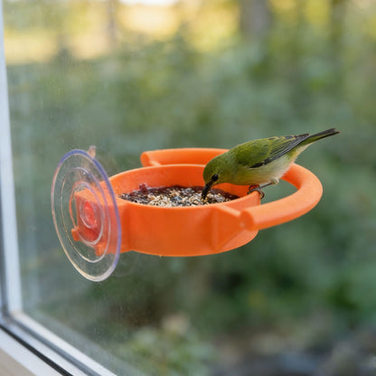 Bird Feeder Window Suction Cup Holder