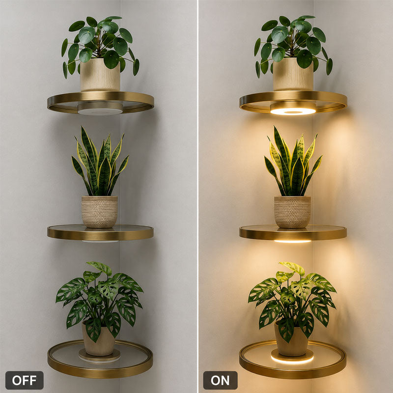 💡Floating Wall Shelf with Built-in Ambient LED Light