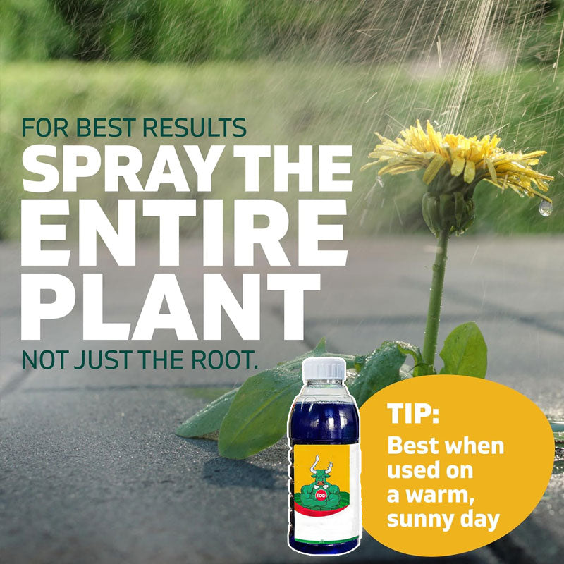 🧪Snabbverkande ogräsmedel med hög koncentration🌿