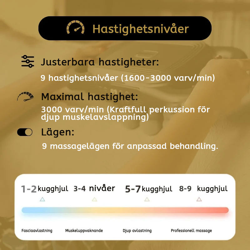 8 huvuden hästmassagepistol