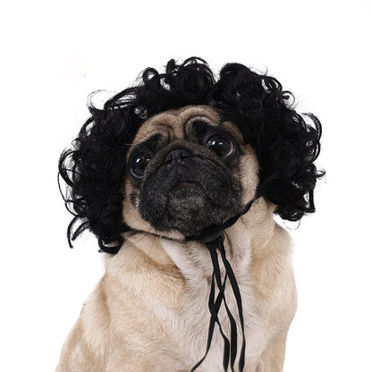 Personalized Fun Pet Wigs for Halloween & Dog Cosplay