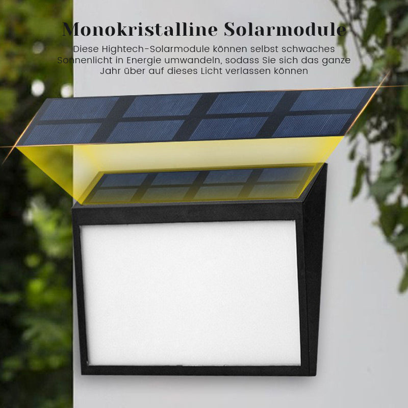 Solar Dörrplatta Ljus