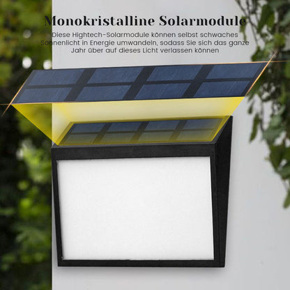 Solar Dörrplatta Ljus