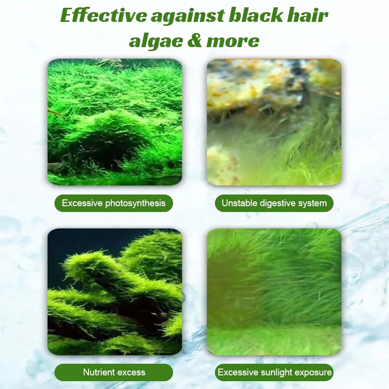 🐠 Mossborttagare För Fiskakvarier