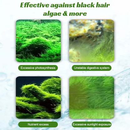 🐠 Mossborttagare För Fiskakvarier