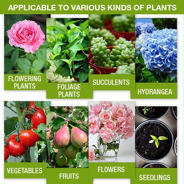 🥬🌻 BUY 1 GET 1 FREE! Organic Plant Nutrient – Essential minerals & amino acids. Healthier plants, happier balcony garden. 🏡💚