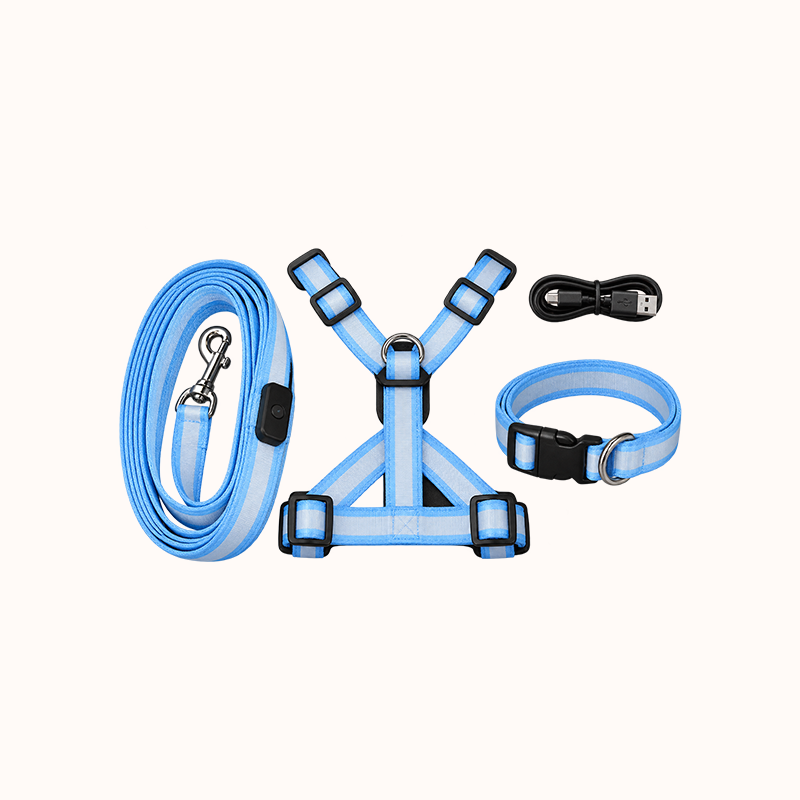 🐾✨LED Light-Up Dog Harness and Leash Set
