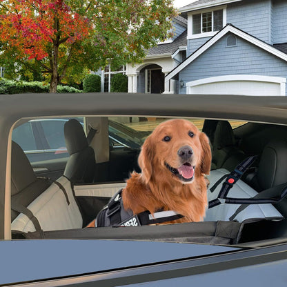 Bilsäkerhetssäte För Hundar Och Katter