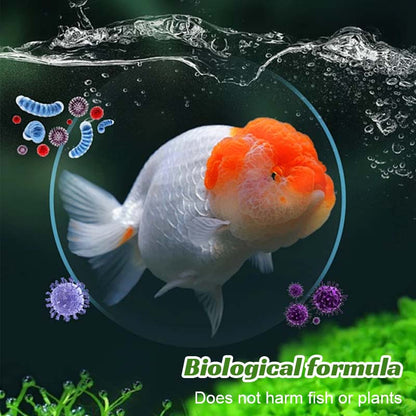 🐠 Mossborttagare För Fiskakvarier