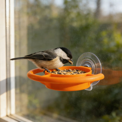 Bird Feeder Window Suction Cup Holder