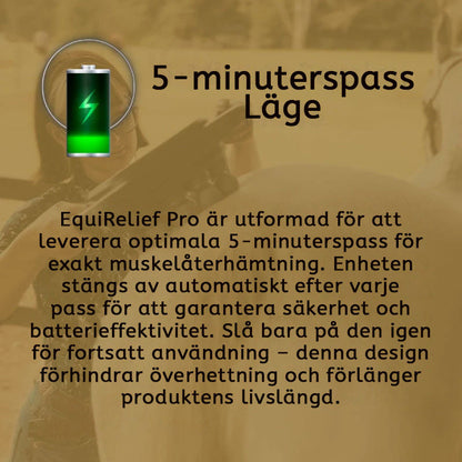 8 huvuden hästmassagepistol