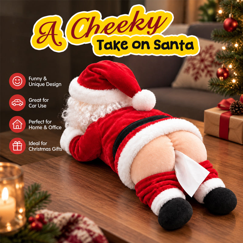 🎅Funny Christmas Tissue Holder