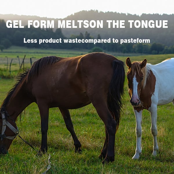 🔥Sista dagen 49% rabatt - Ivermektin Hästkräm 1,87% 6,08g Tub