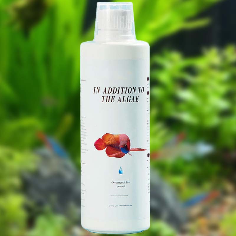 🐠 Mossborttagare För Fiskakvarier