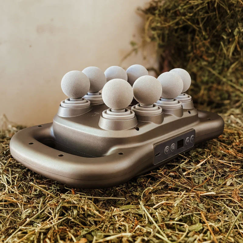 8 huvuden hästmassagepistol