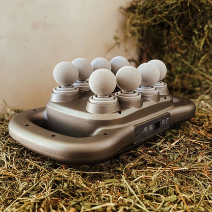 8 huvuden hästmassagepistol