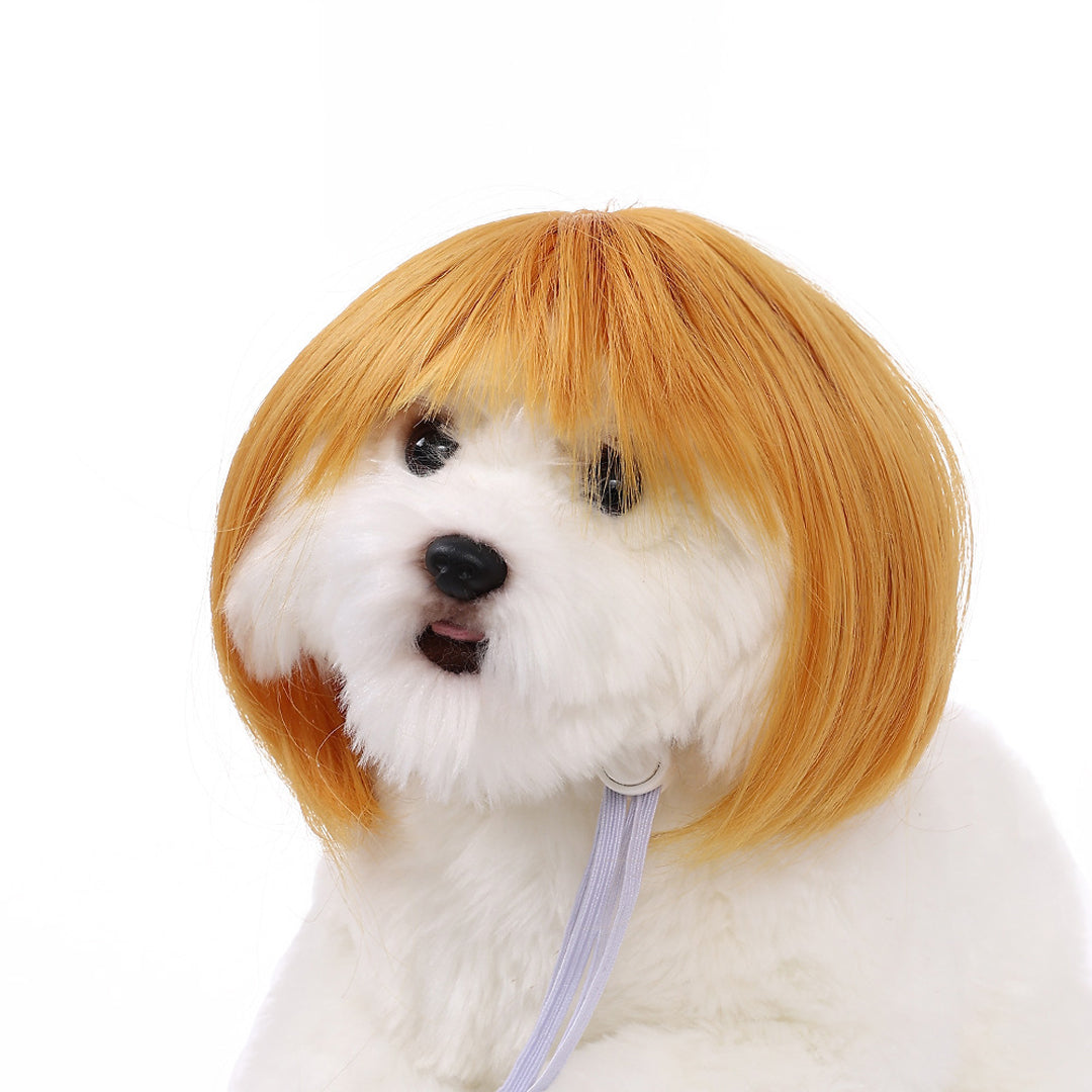 Personalized Fun Pet Wigs for Halloween & Dog Cosplay