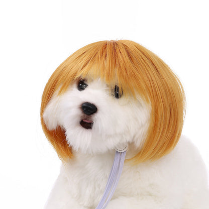 Personalized Fun Pet Wigs for Halloween & Dog Cosplay
