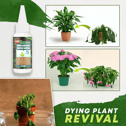 🥬🌻 BUY 1 GET 1 FREE! Organic Plant Nutrient – Essential minerals & amino acids. Healthier plants, happier balcony garden. 🏡💚