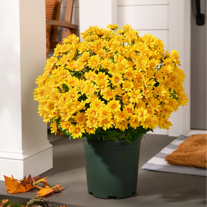 🌼- Artificial Outdoor Sunset Mums Flowers - UV resistant, Waterproof, Windproof
