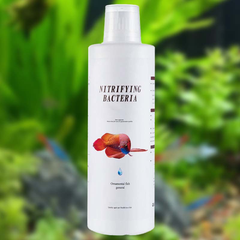 🐠 Mossborttagare För Fiskakvarier