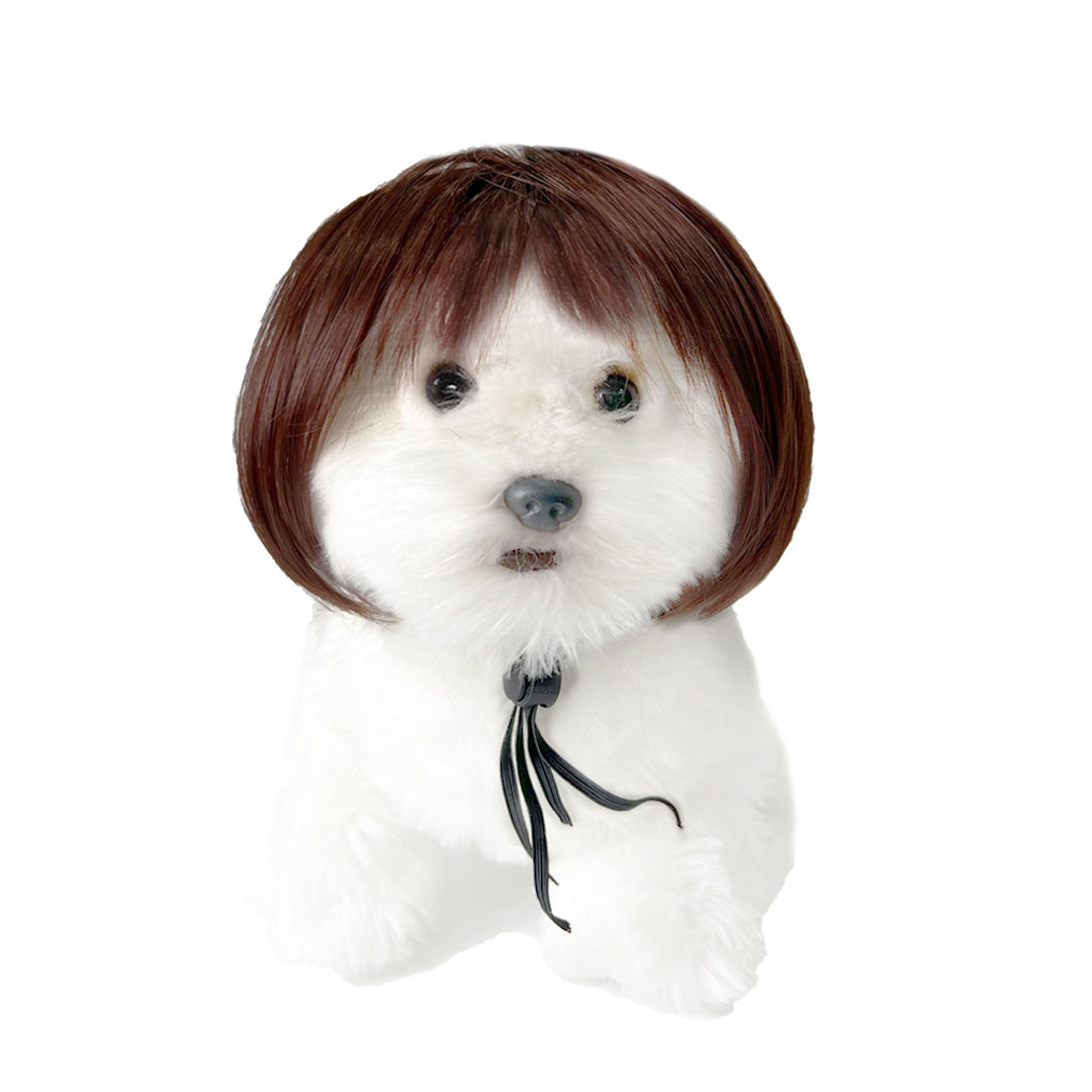 Personalized Fun Pet Wigs for Halloween & Dog Cosplay