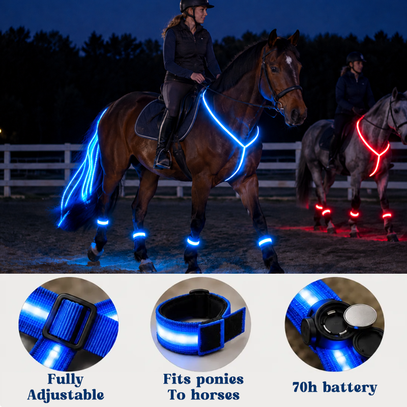 🐎Light-up Horse-riding Set
