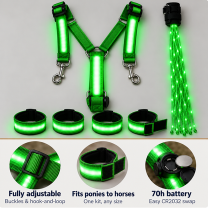 🐎Light-up Horse-riding Set