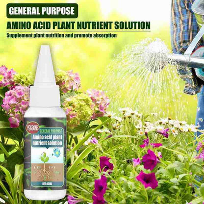 🥬🌻 BUY 1 GET 1 FREE! Organic Plant Nutrient – Essential minerals & amino acids. Healthier plants, happier balcony garden. 🏡💚