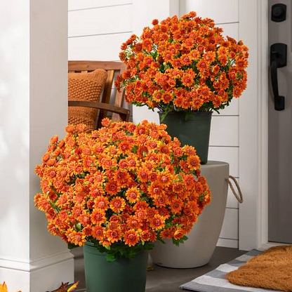 🌼- Artificial Outdoor Sunset Mums Flowers - UV resistant, Waterproof, Windproof